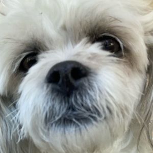 Meet your Posher, Hope